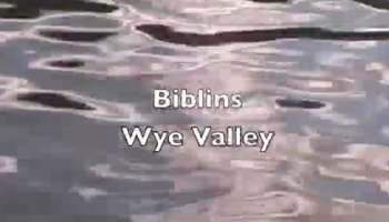 Biblins camp video grab
